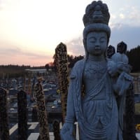 通信紙　第193号
