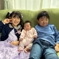 ブログじまい
