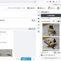 引っ越しだぁ～と、取り敢えず、hatenablogさんで作ってみました　（３）さようなら編  (T T)
