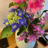 6月10日　お掃除の日