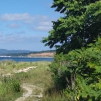 東通村の野牛のレストハウスと石持の北部海岸