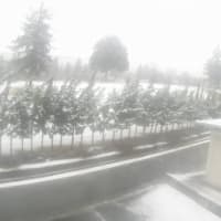 積雪の為・・・・・