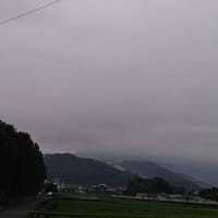 今日は雨かね〜ツバメの空
