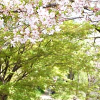 伏見を散策してきた (2)