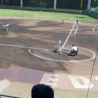 全国高校野球大会地区予選