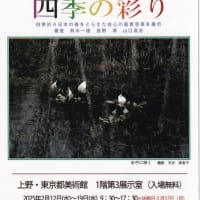 第３７回「日本写真家連盟展」の開催案内