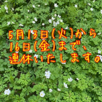 5/13（火）〜16（金）、連休いたします。