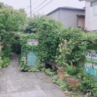 カフェ