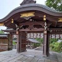 裏から見ると>高麗神社の鳥居から