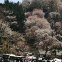 ４月２４日　又トランプさんが脅しをかけた。