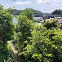古民家探しその後・・