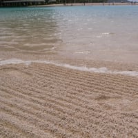 砂に描いた足跡