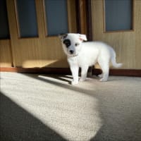 一人っ子生活開始