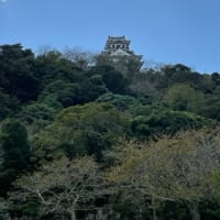 ＜館山＞館山城