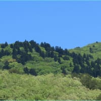 新緑の山(芸北あたり)景