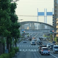 夕方の多摩川へ