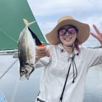 ７月 ２日 (水) 💫黄金アジ爆💥💥トップ㊗️１２５匹❗次１０２匹❗午後㊗️３１匹❗😁✨