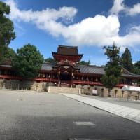 朝から散歩