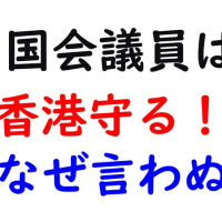 香港の自由を守ろう！ 日本はいつまで黙っているのか！幸福実現党 壱岐愛子 渾身の訴え！新宿駅西口 9月16日