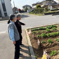 本日の主役は→→