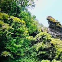 空撮・ドローン撮影の映像はちょっとしたスパイスになる