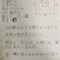 2021年3月1日(月)