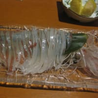 剣先烏賊・白烏賊（ケンサキイカ・シロイカ）