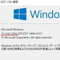 Windows10 22H2版のバージョン表記が2009になった？