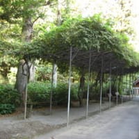 神社⑤　おまけ。