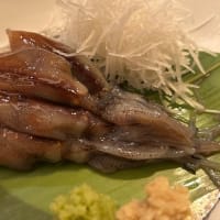サブメンバーよ、奮起せよ（15節富山戦）