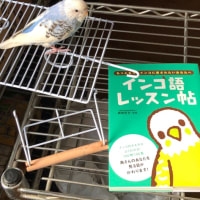 本庶のラッキーは