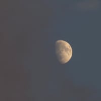 月の写真を─