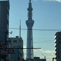 今年初‼️