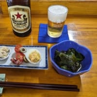 川渡温泉⇒菅原分店７６５
