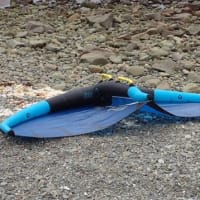 時間ずれ込みながらも吹き上がった