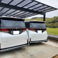 ヴェルファイアエグゼクティブラウンジPHEVが納車されました。晩御飯は煮込みハンバーグ。