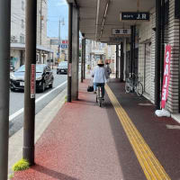 377 喫茶花偲　高知⚫︎高知