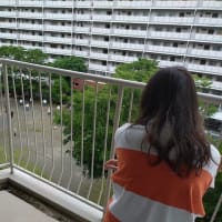 実は、カミさんが来ていました。