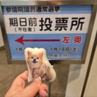 期日前投票してきました