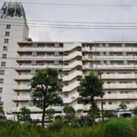 理学療法士さん、はじめまして