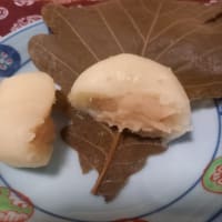 春のガーデンと柏餅