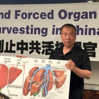 臓器狩りの生存者　再び中共スパイの嫌がらせに直面