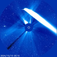 紫金山・アトラス彗星に会いたい！/20241010