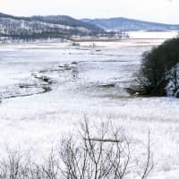 冬の釧路湿原