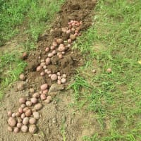 アンデス終わり