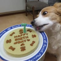 ネージュ誕生日