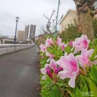 撮影日記