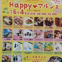 カレー味揚げワンタン
