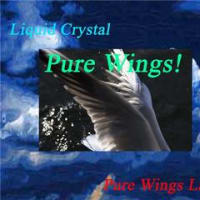 Ustream＆Youtube　TV【Liquid Crystal　Present's『Pure Wings！』】出演者募集！