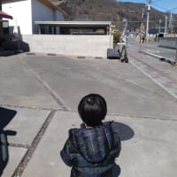 電車を堪能・・・の墓参り